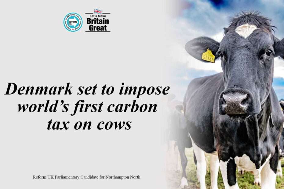 Denmark set to impose world’s first carbon tax on cows