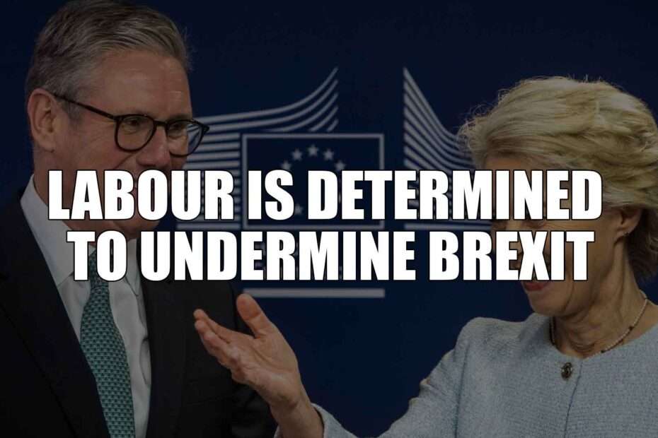 Labour is Determined to Undermine Brexit